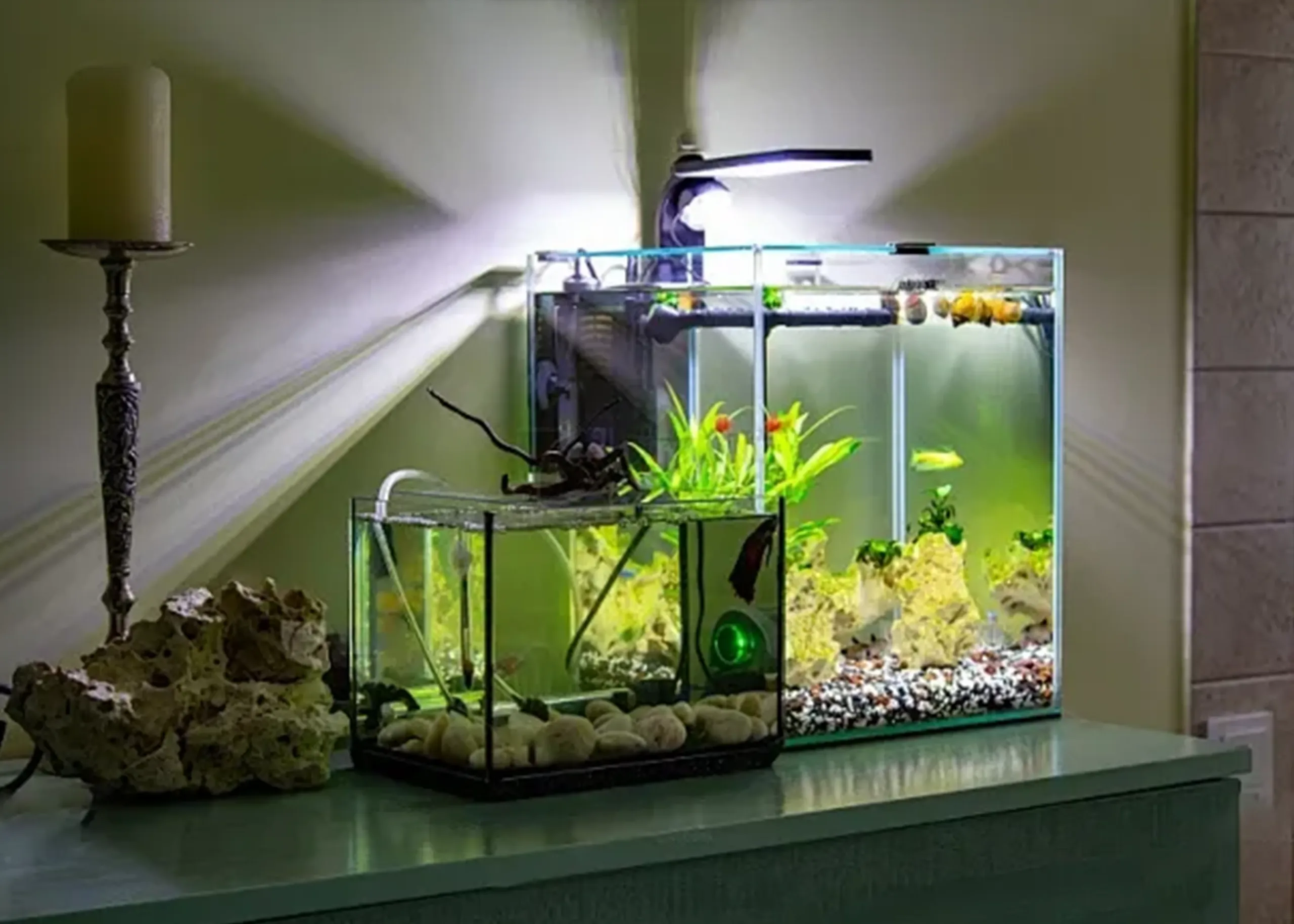 Torque Adjustment Fish Feeder