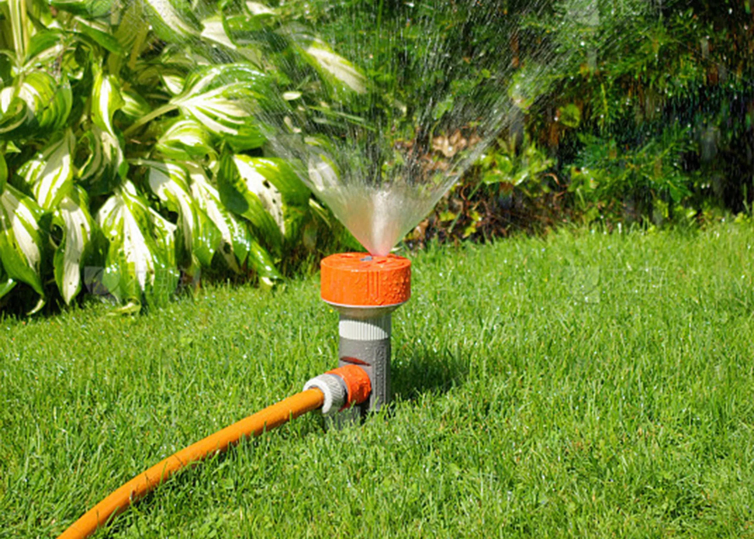 Torque Adjustment Fish Feeder