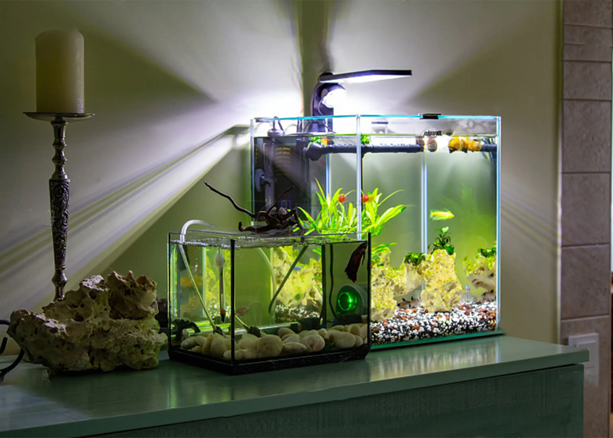 Water Quality Monitor Indicator